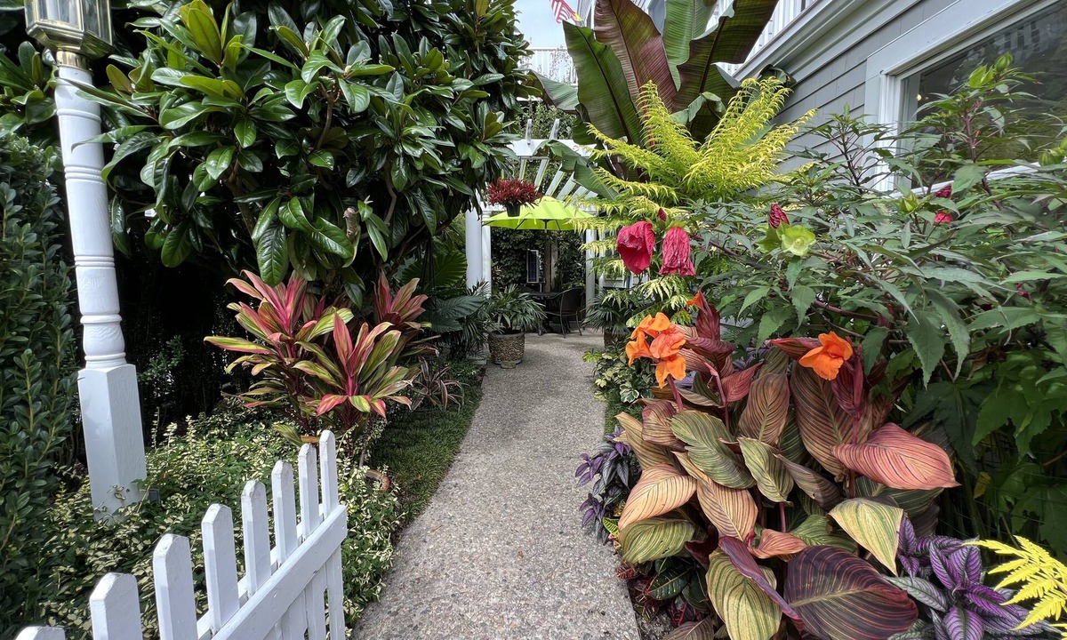 Commercial Street Condo | Best Patio on Commercial-Tropical Garden-Prime Location