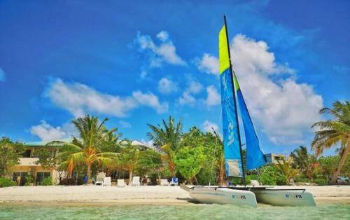 Dhiffushi Hotel | 21 m² Hotel ∙ 3 guests