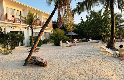 Dhiffushi Resort | 50 m² Resort ∙ 3 guests