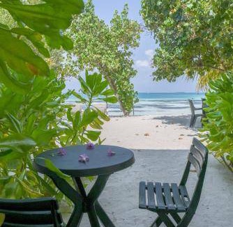 Dhiffushi Hotel | 21 m² Hotel ∙ 3 guests