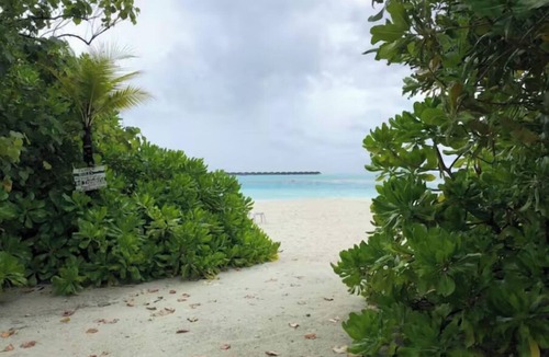 Dhiffushi Apartment | Dhiffushi Tourist Hotel, Maldivesnn