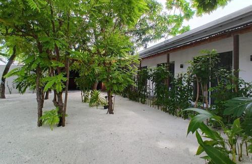 Dhiffushi Hotel | Navaya Dhiffushi