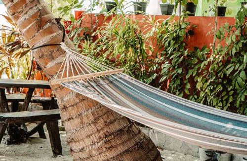 Maafushi House | Oceana Boutique by Maldives Fellas
