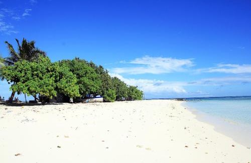 Gulhi House | Tropic Tree Maldives