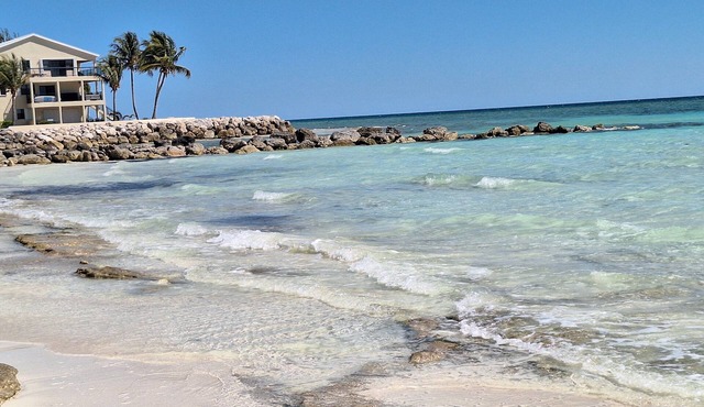 2-bdrm condo in Freeport, steps from the pool and beach with beach chairs &WiFi. in Freeport