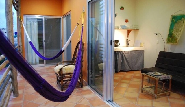 Beautiful new one BR apt. Downtown, Steps to North beach!
