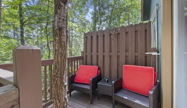 Big Pine Treehouse with Jacuzzi in Eureka Springs
