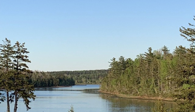 Cottage on Stanley River with amazing views and private pool in Kensington