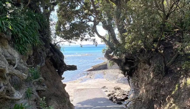Cove side Bliss in Whangaparaoa
