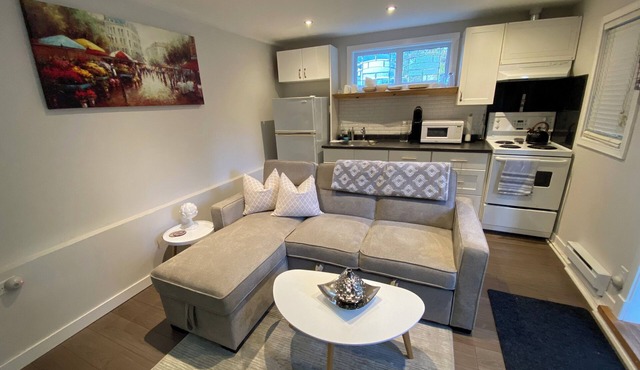 Cozy one Bedroom Loft with Private fenced Yard/5 mins from Lake!
