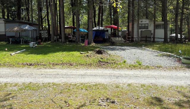 Cozy private campground with pool access near Lake Wallenpaupack