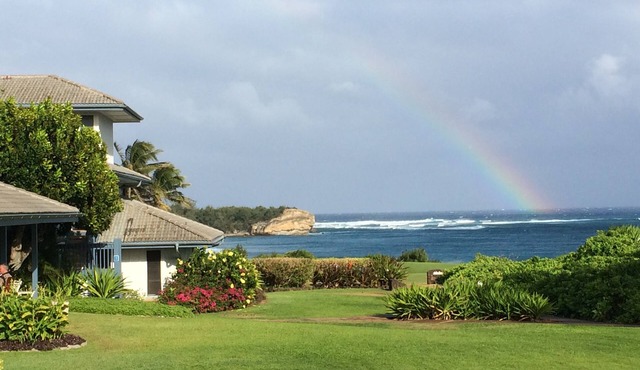 Fabulous Location near Shipwreck Beach and Grand Hyatt Resort
