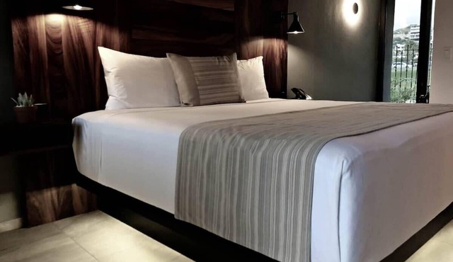 Gorgeous 1BR Exclusive Suite in Cabo in San José del Cabo