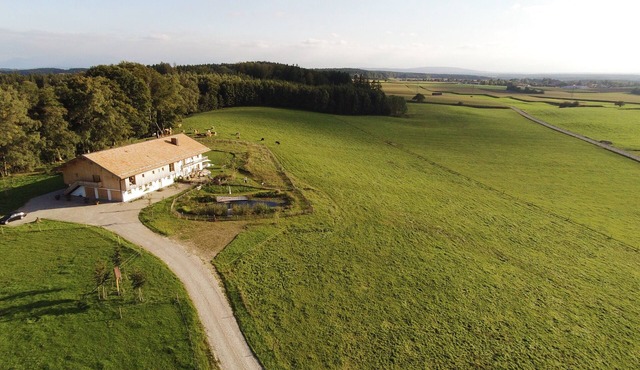 Hof Kaltenbrunn - modern apartments in the countryside