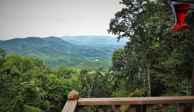 Honeymoon Cabin/Mtn & Lake Views/Hot Tub/FP/Wi-Fi
