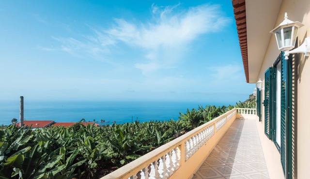 House/Villa - Arco da Calheta in Arco da Calheta