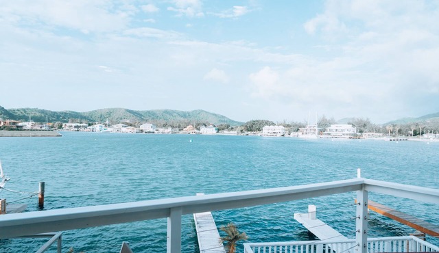 Luxurious & Stunning! Mountain & Sea Views! 222D in Jolly Harbour