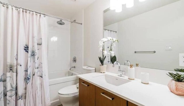 Luxury Downtown Unit+Parking+AC in Vancouver