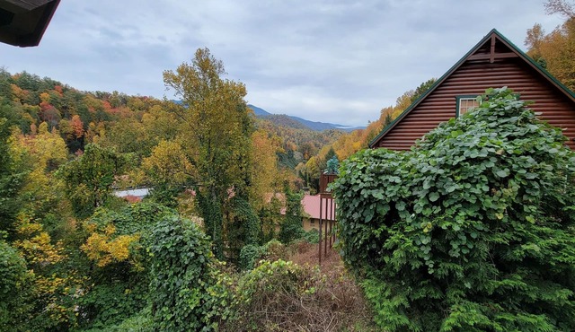 Luxury Log Cabin, Mountain & City Views in Gatlinburg