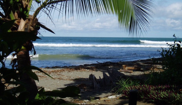 NEW HOME ON THE BEACH Also see our other house listing #692517 with a pool. . in Puerto Jimenez