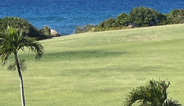 NEWLY REMODELED 2 bedroom condo at Gentle Winds in Christiansted