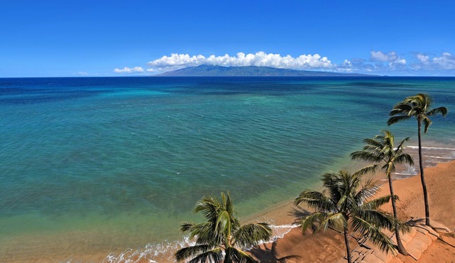 Ocean Front @ Great Price-8th Floor- Listen to Ocean from the Master Bedroom in Lahaina