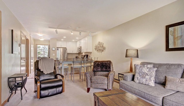 Pet Friendly in Keystone! On River Trail. Walk to Festivals, Dining, Shops in Keystone