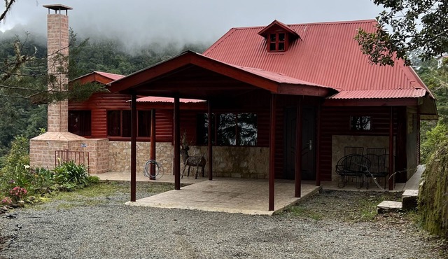 Private cabin in the pristine cloud forest. Quiet and tranquil. in Division
