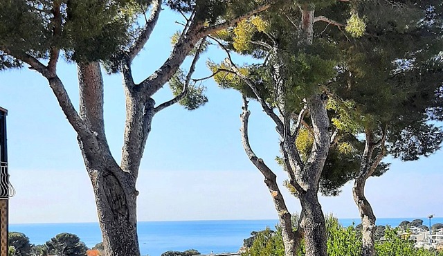 Seaside house under the pines, calm and serenity for a rejuvenating stay in Carry-le-Rouet