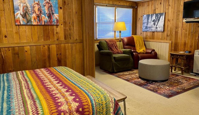 The Last Resort - Recently Refurbished Cute Horse-Themed Cabin, No Frills in Ferguson