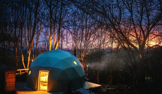 The Tree Dome - Luxurious Glamping Retreat in Ludlow
