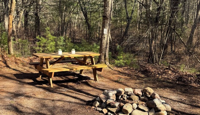 Wilderness Camp