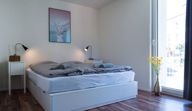 ZH Pineapple II - HITrental Wiedikon Apartments