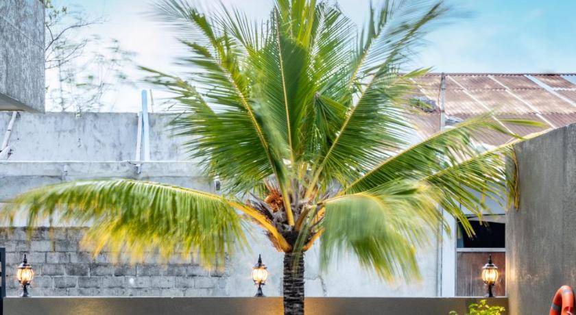 Photo of Others in Dhiffushi