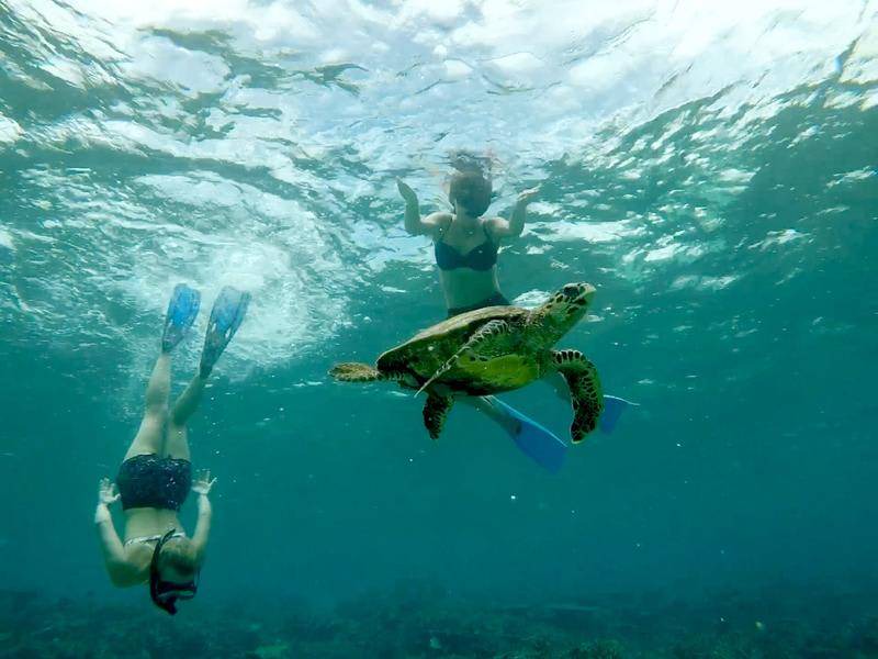 Photo of Others in Dhiffushi