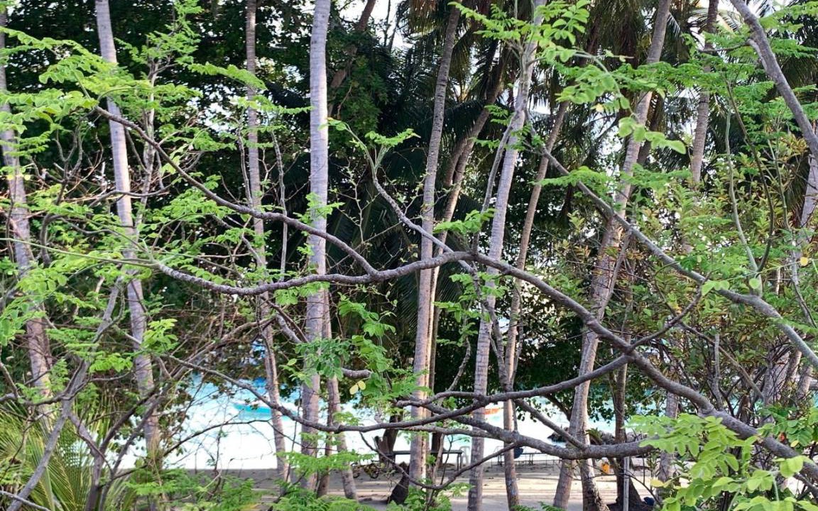 Photo of Others in Huraa