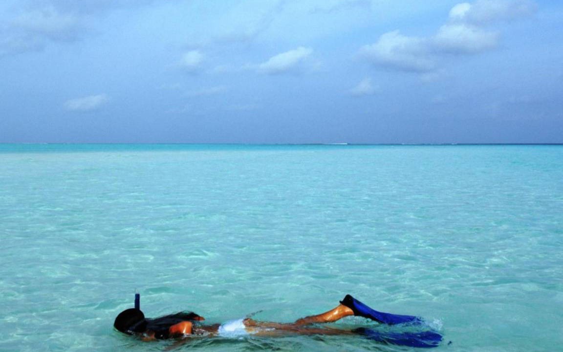 Photo of Others in Cocoa Island