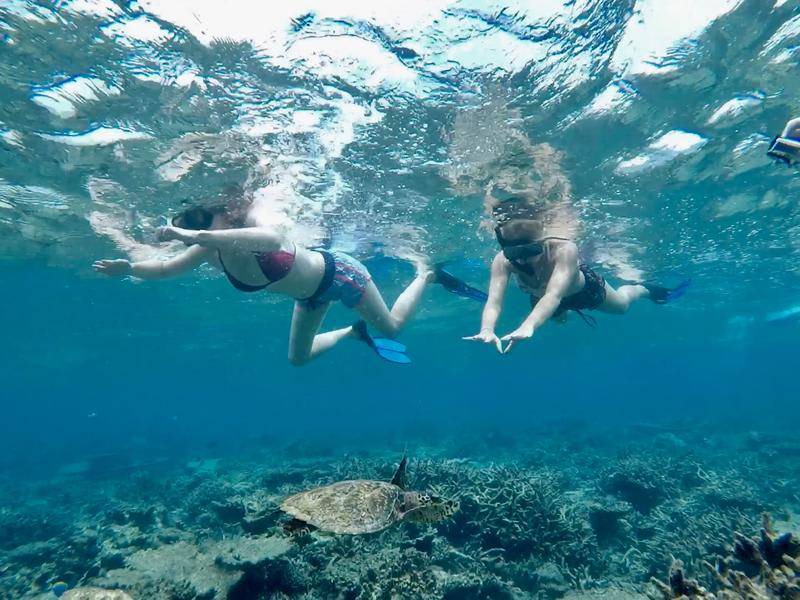 Photo of Others in Dhiffushi