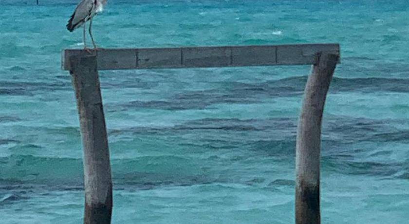 Photo of Others in Huraa