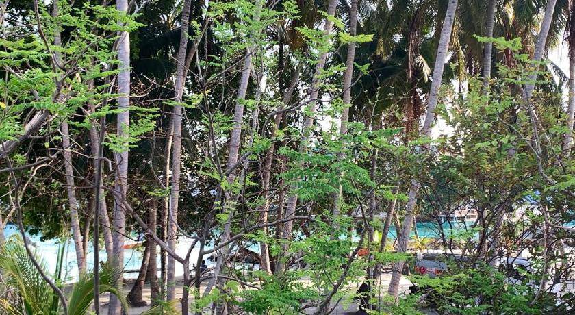Photo of Others in Huraa