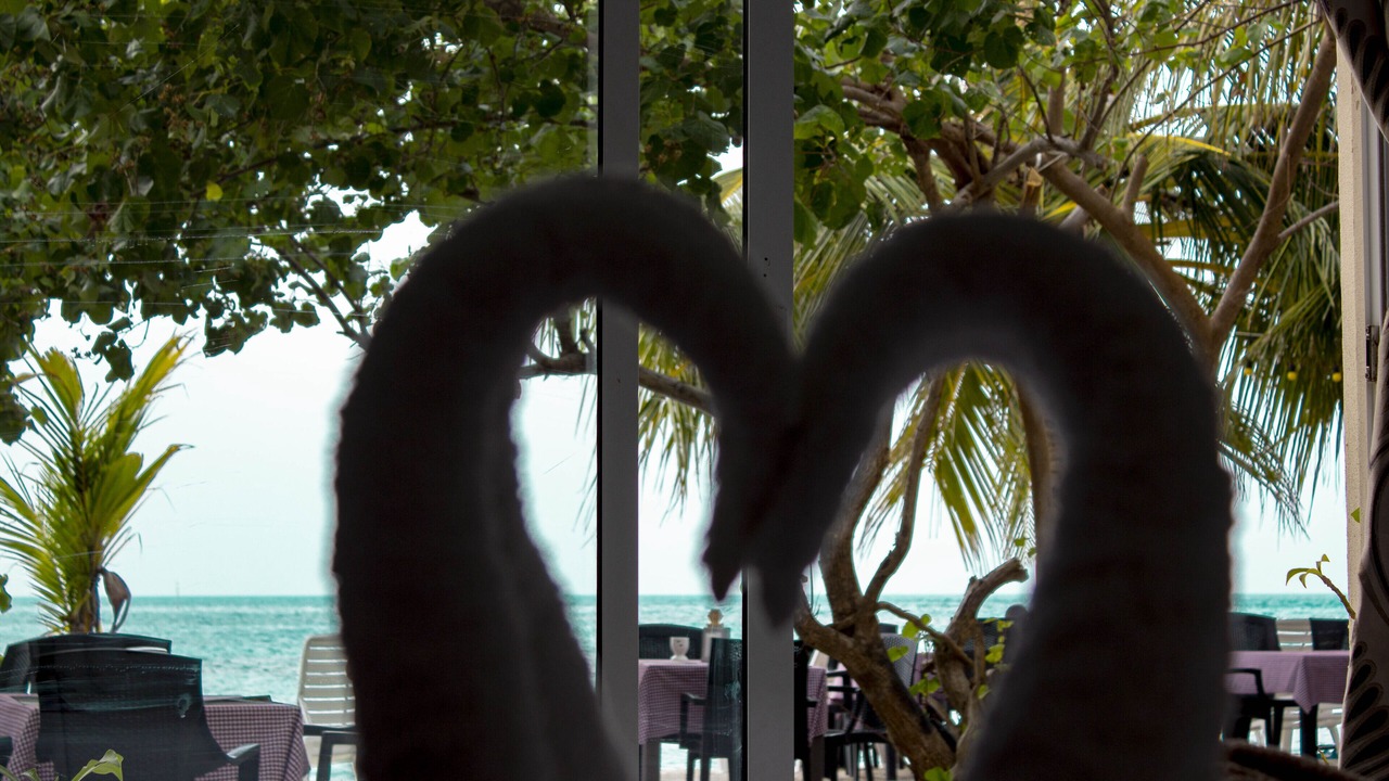 Photo of Bedroom in Dhiffushi