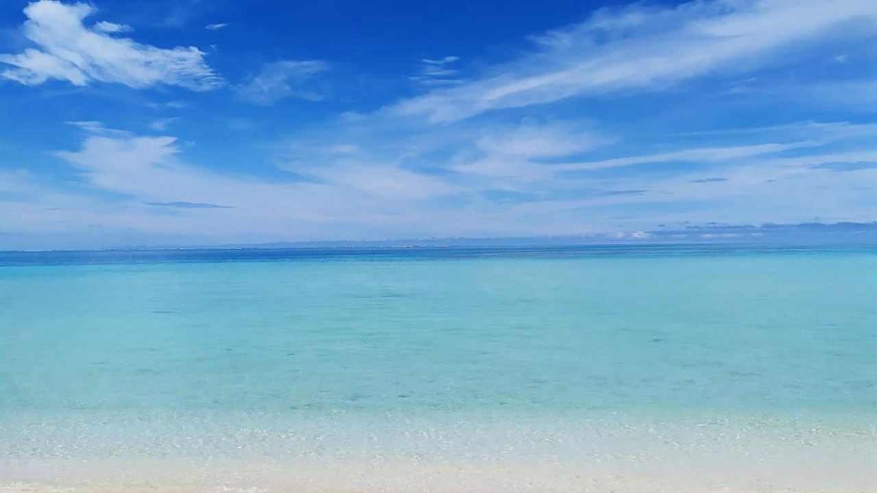 Photo of Others in Dhiffushi
