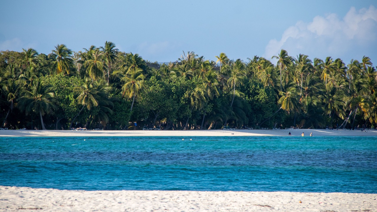 Photo of Others in Dhiffushi