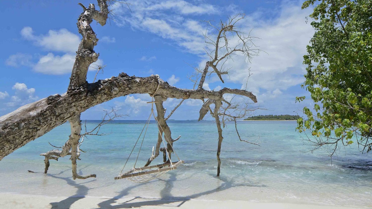 Photo of Others in Bandos Island