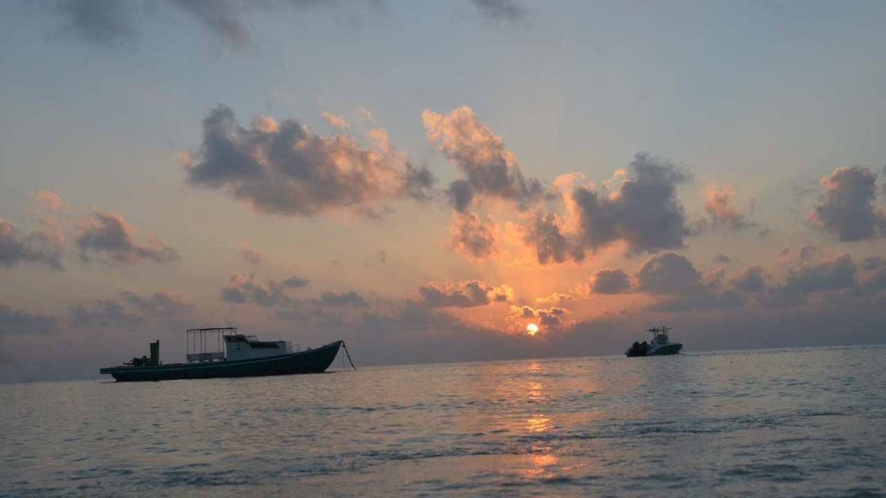 Photo of Others in Fulidhoo