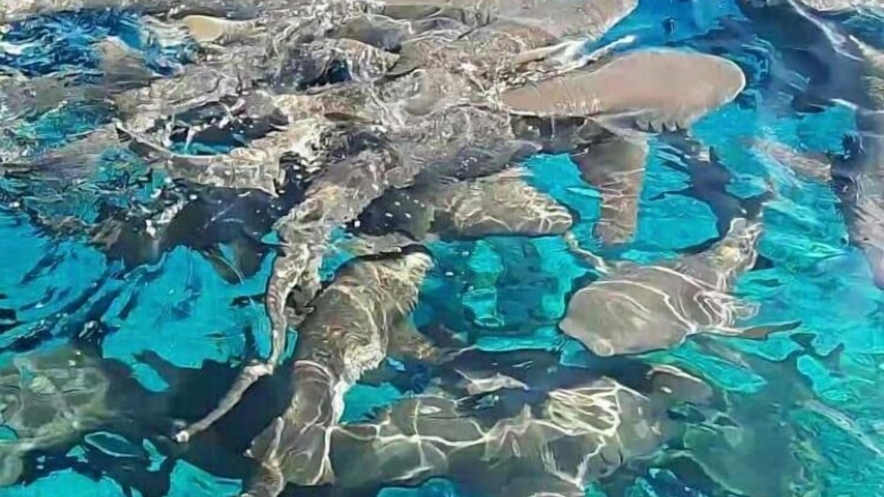 Photo of Outdoor in Fulidhoo