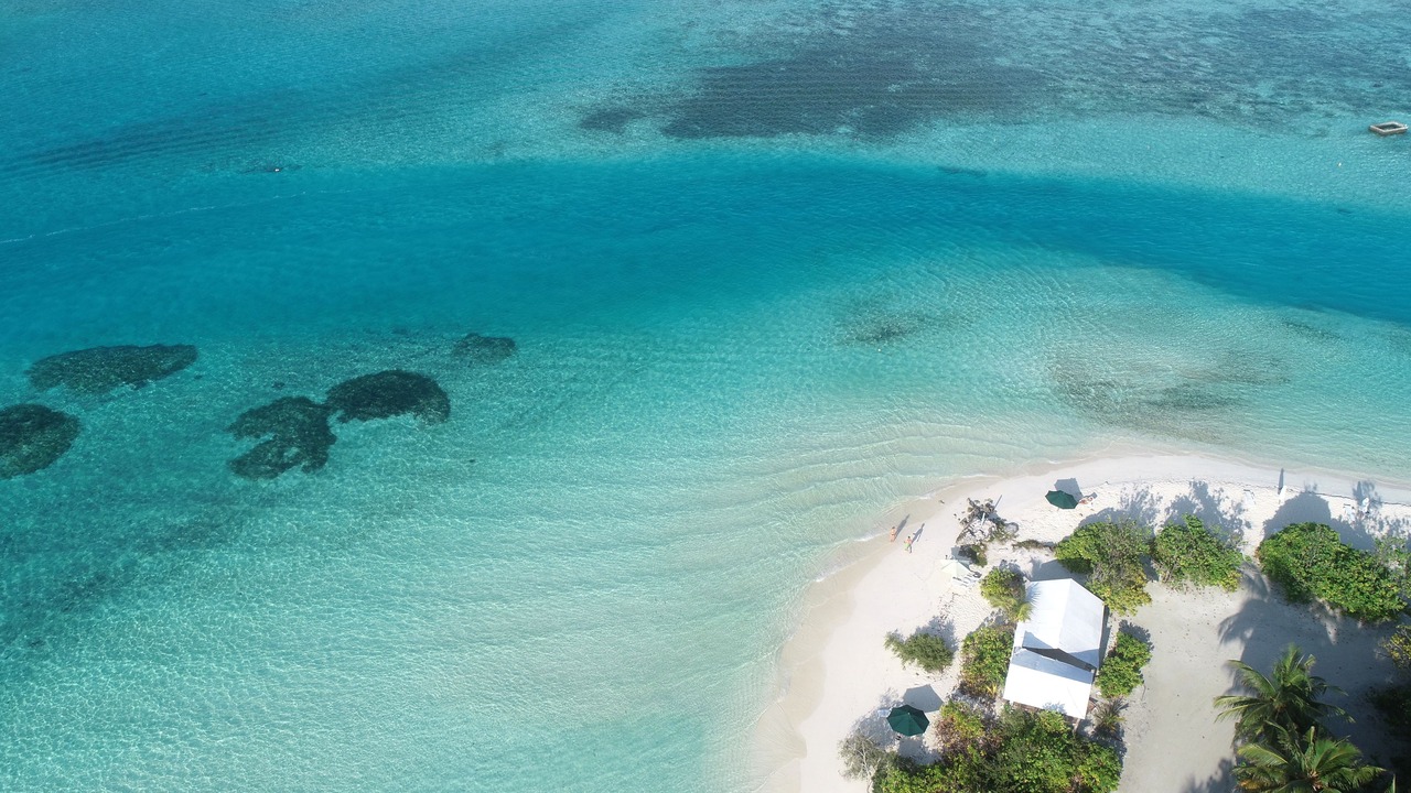 Photo of Others in Dhiffushi