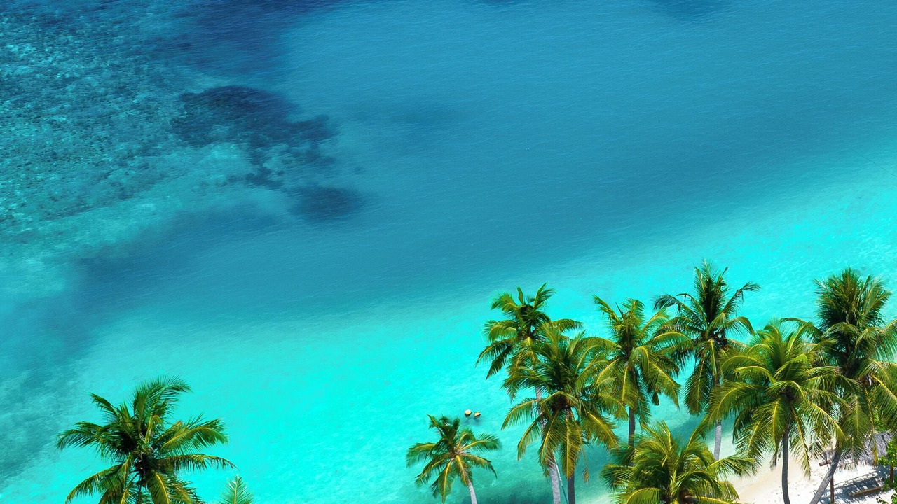 Photo of Others in Dhiffushi