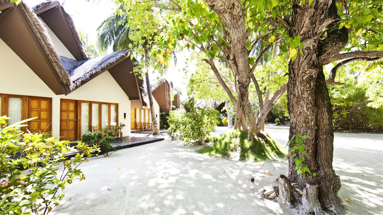 Photo of Bedroom in Lhohifushi