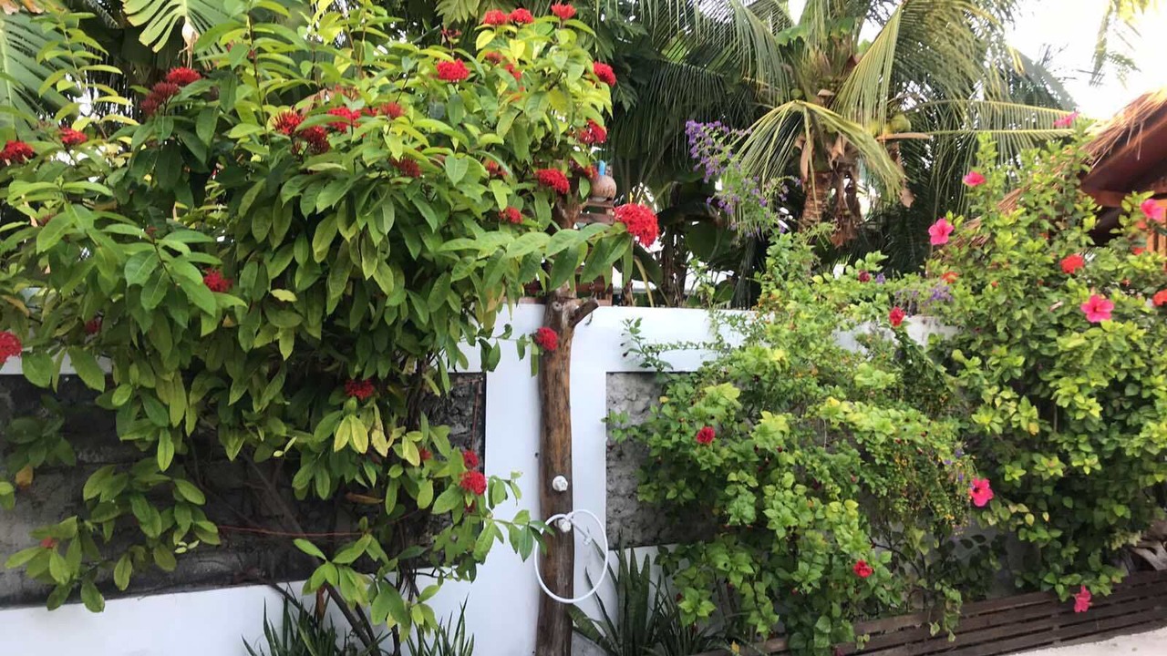 Photo of Outdoor in Felidhoo